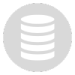 Data Icon